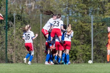 Bild 219 - wBJ Hamburger SV - WfL Wolfsburg : Ergebnis: 2:1